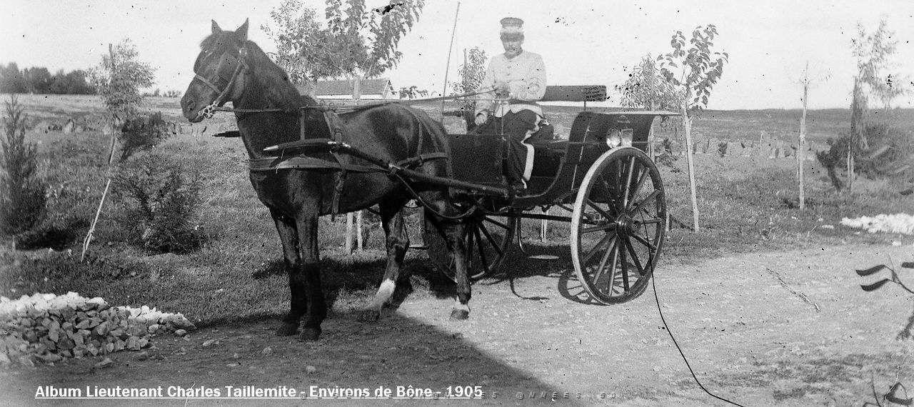 Images d'Algerie 100a.jpg